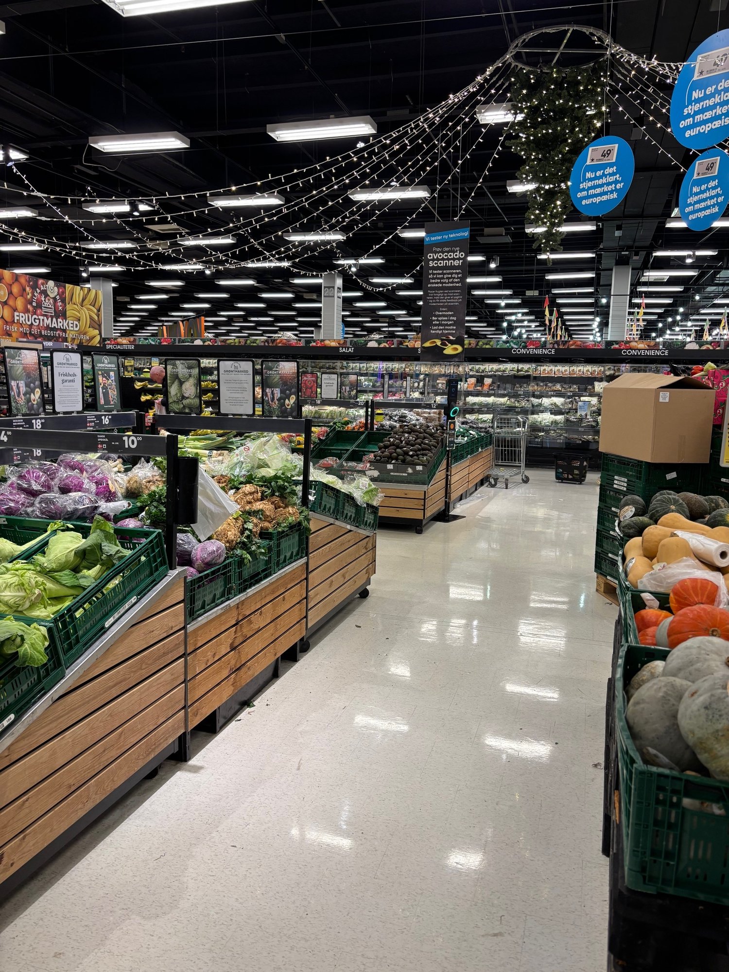 Avocado Scanner - Salling Group Denmark (1)