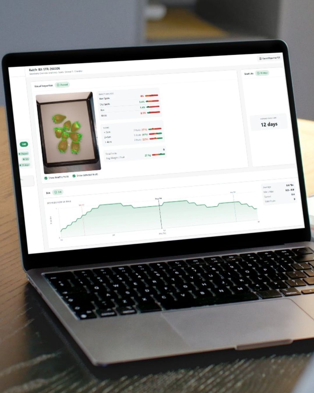 Dashboard quality assessment - Strawberry - OneThird