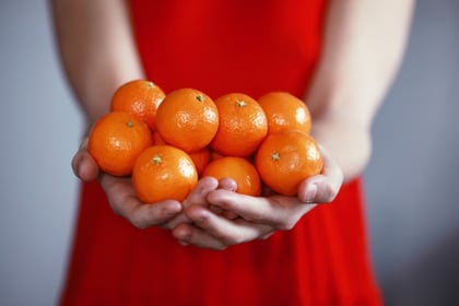 Handing out mandarins