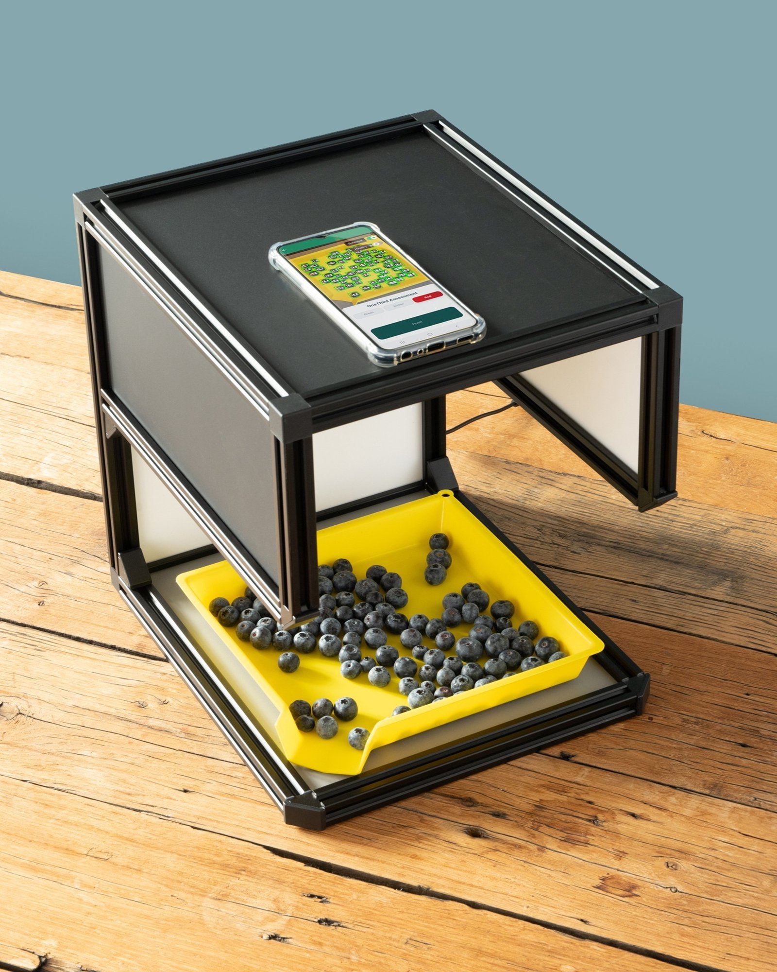 Visual Inspection - blueberry - OneThird