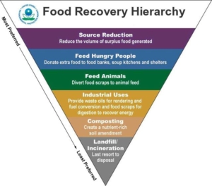 fd_recovery_hierarchy_lg-300x264
