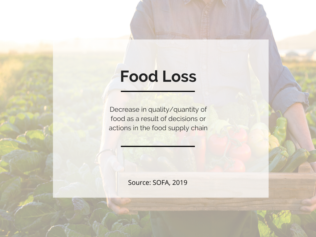 food-loss-and-food-waste-what-s-the-difference