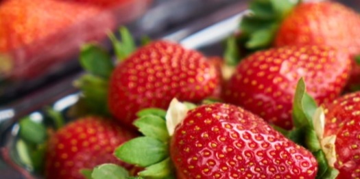 strawberries sorting-2
