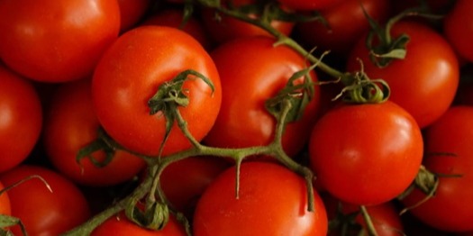 tomatoes-2