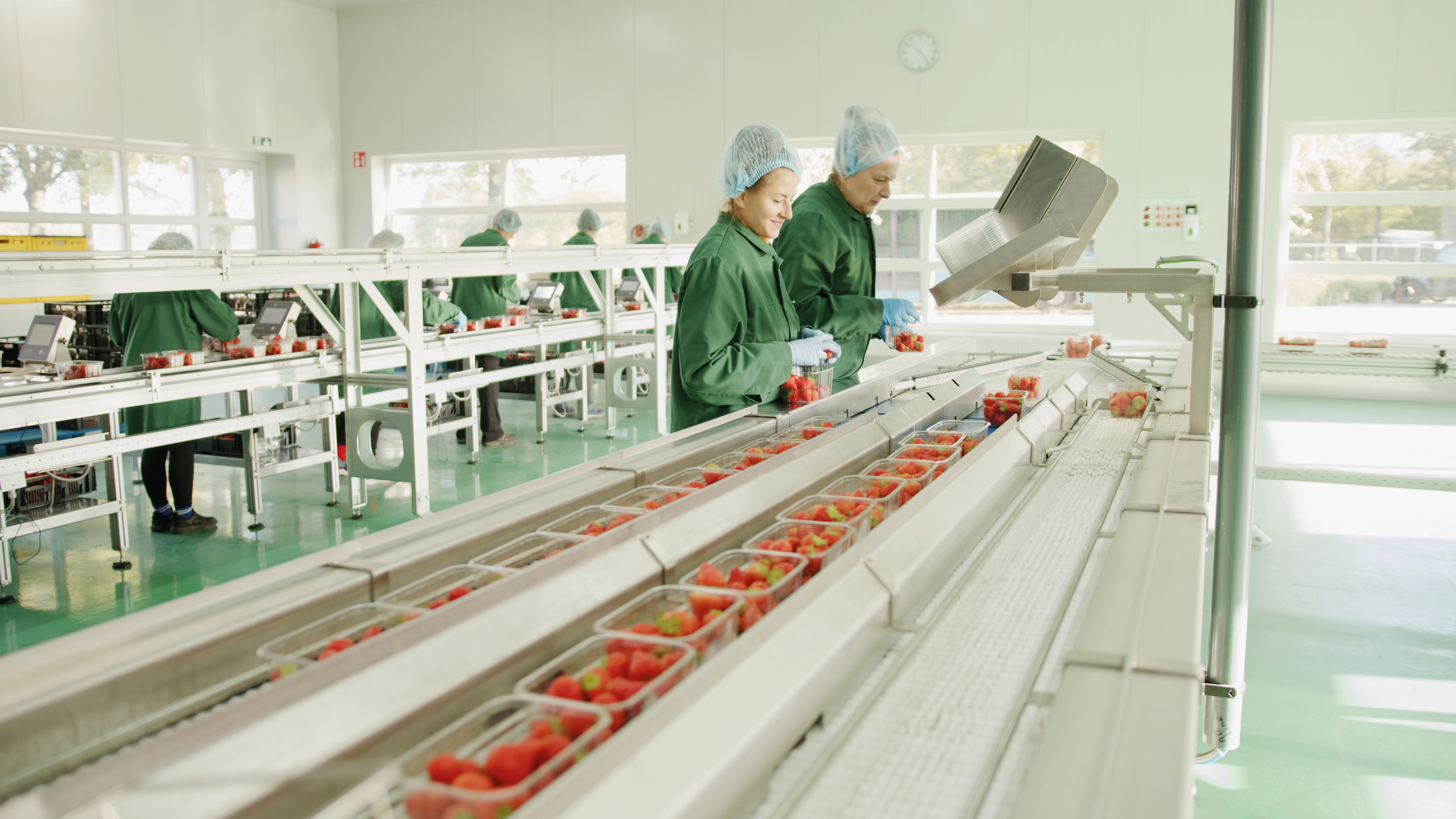 Strawberry quality assessment - predicting shelf-life